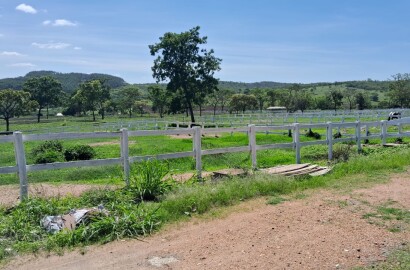 Fazenda para venda em Curvelo Mg