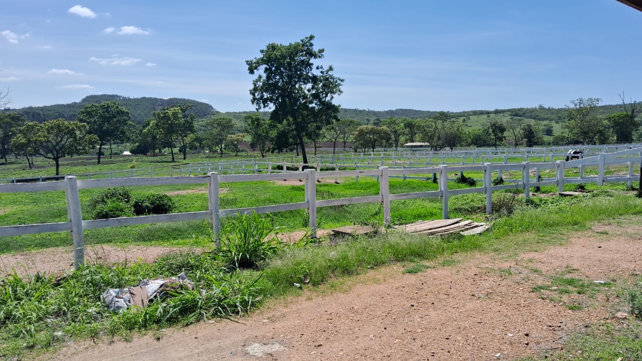 Fazenda para venda em Curvelo Mg