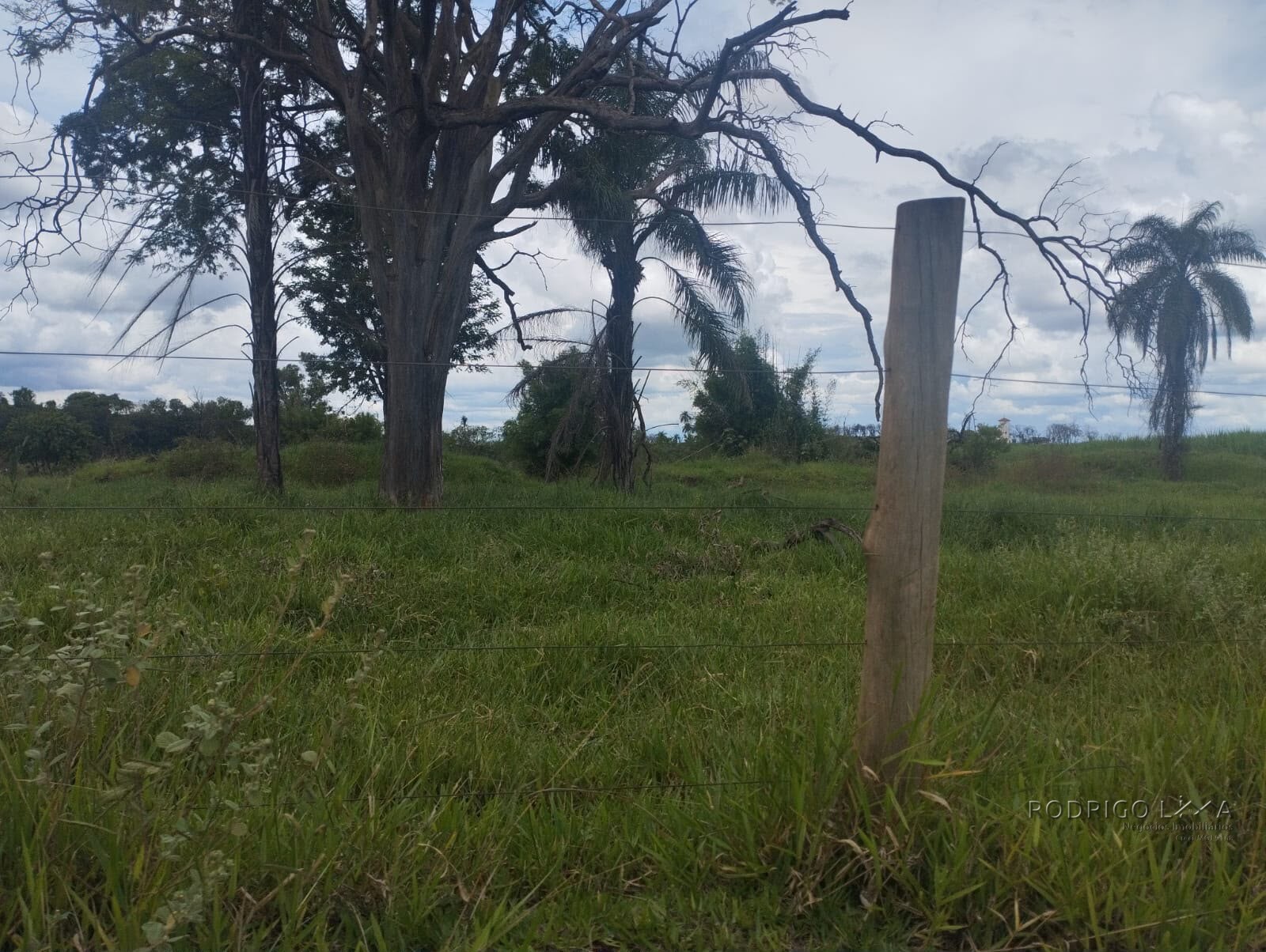 Fazenda para venda na região de Cajuru SP