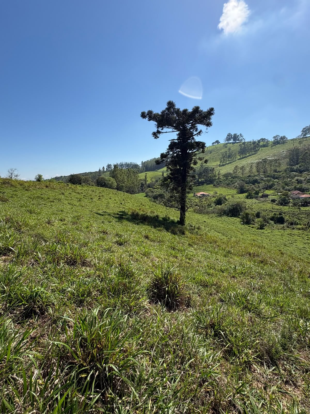 Terreno rural para venda em Dom Viçoso MG