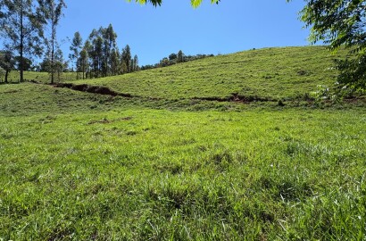 Terreno Rural para venda em Dom Viçoso MG