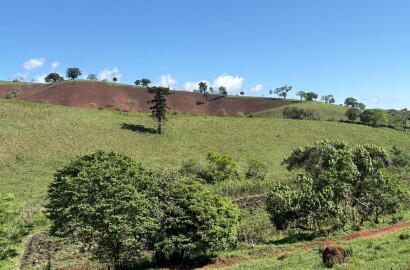 Terreno rural para venda em Dom Viçoso MG