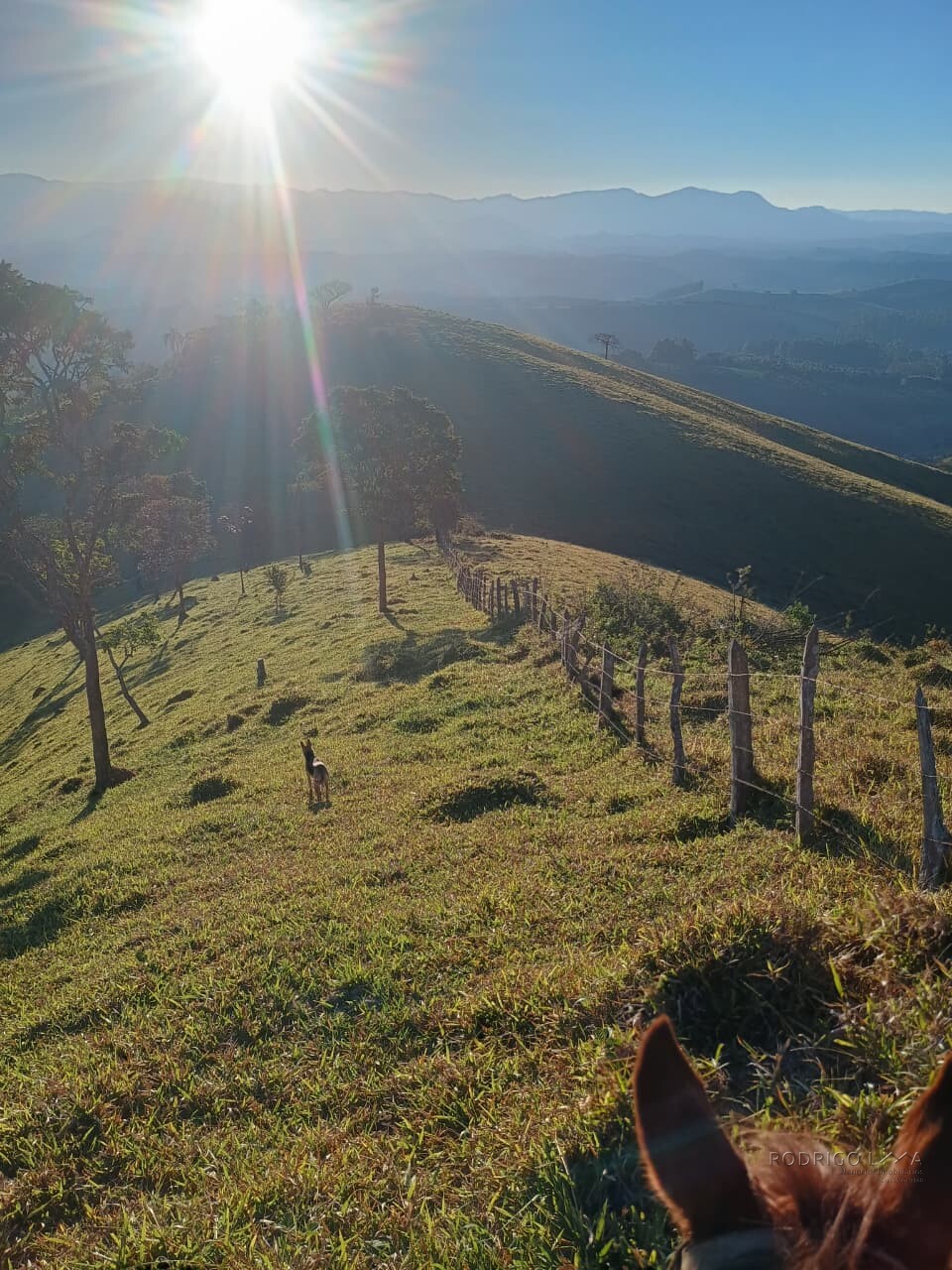 Propriedade rural para venda em Virgínia/MG