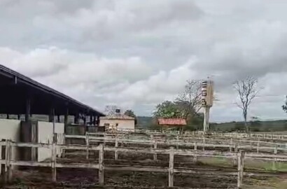 Fazenda para venda em Curvelo Mg
