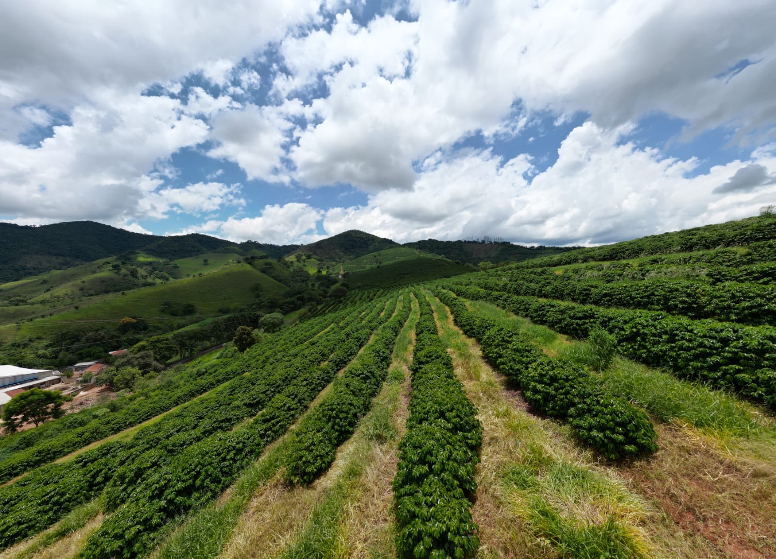 Fazenda para venda em São Lourenço Mg
