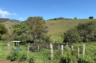 Terreno rural para venda em Dom Viçoso MG
