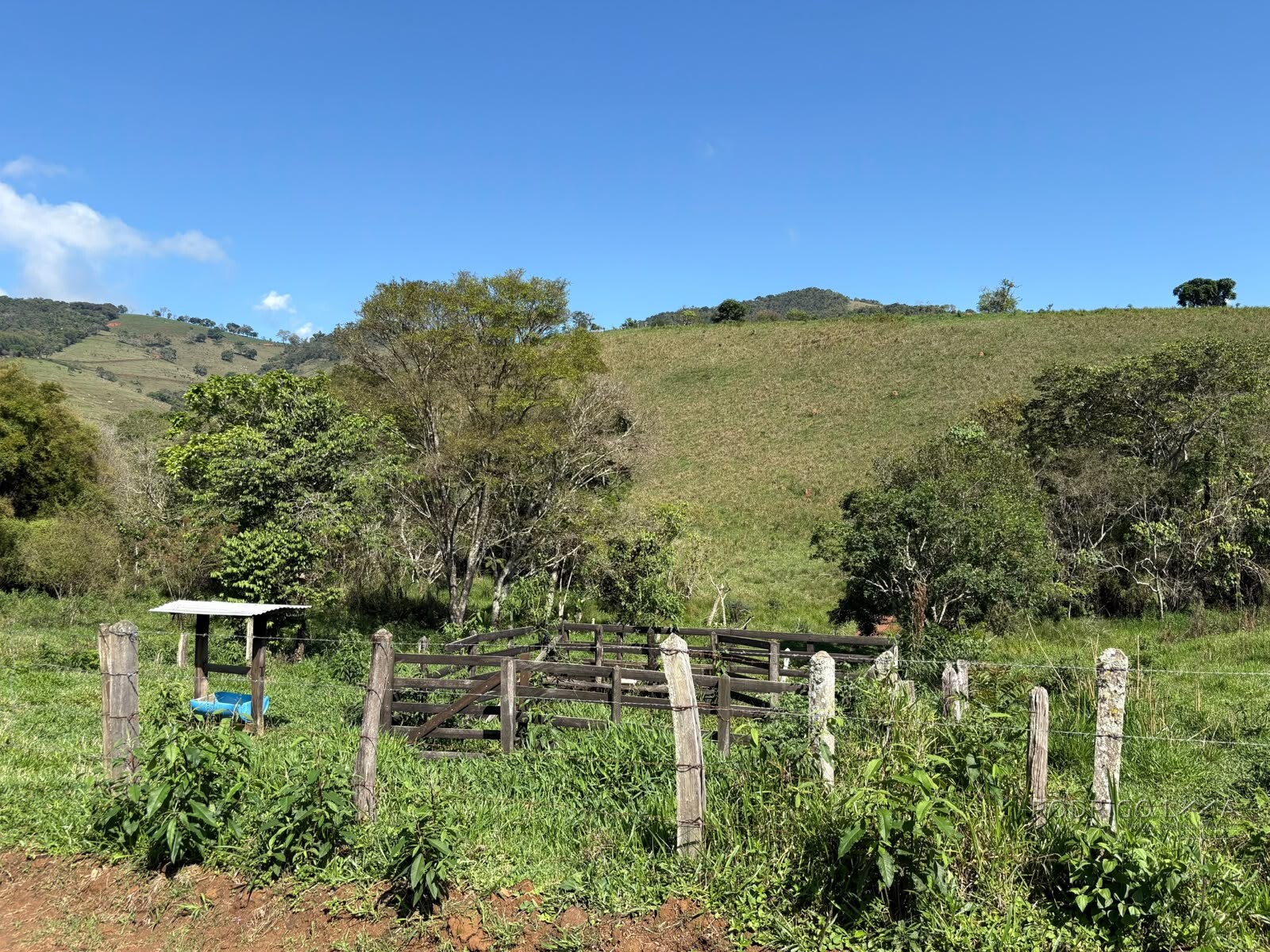 Terreno rural para venda em Dom Viçoso MG