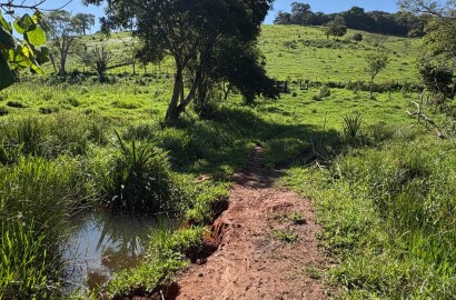 Terreno rural para venda em Dom Viçoso MG