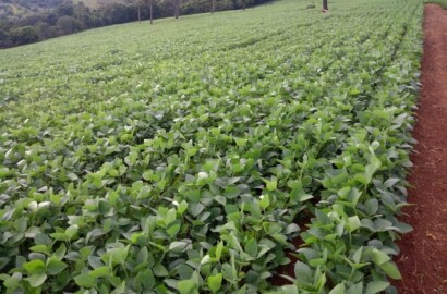 Linda fazenda para venda em Guapé - MG.