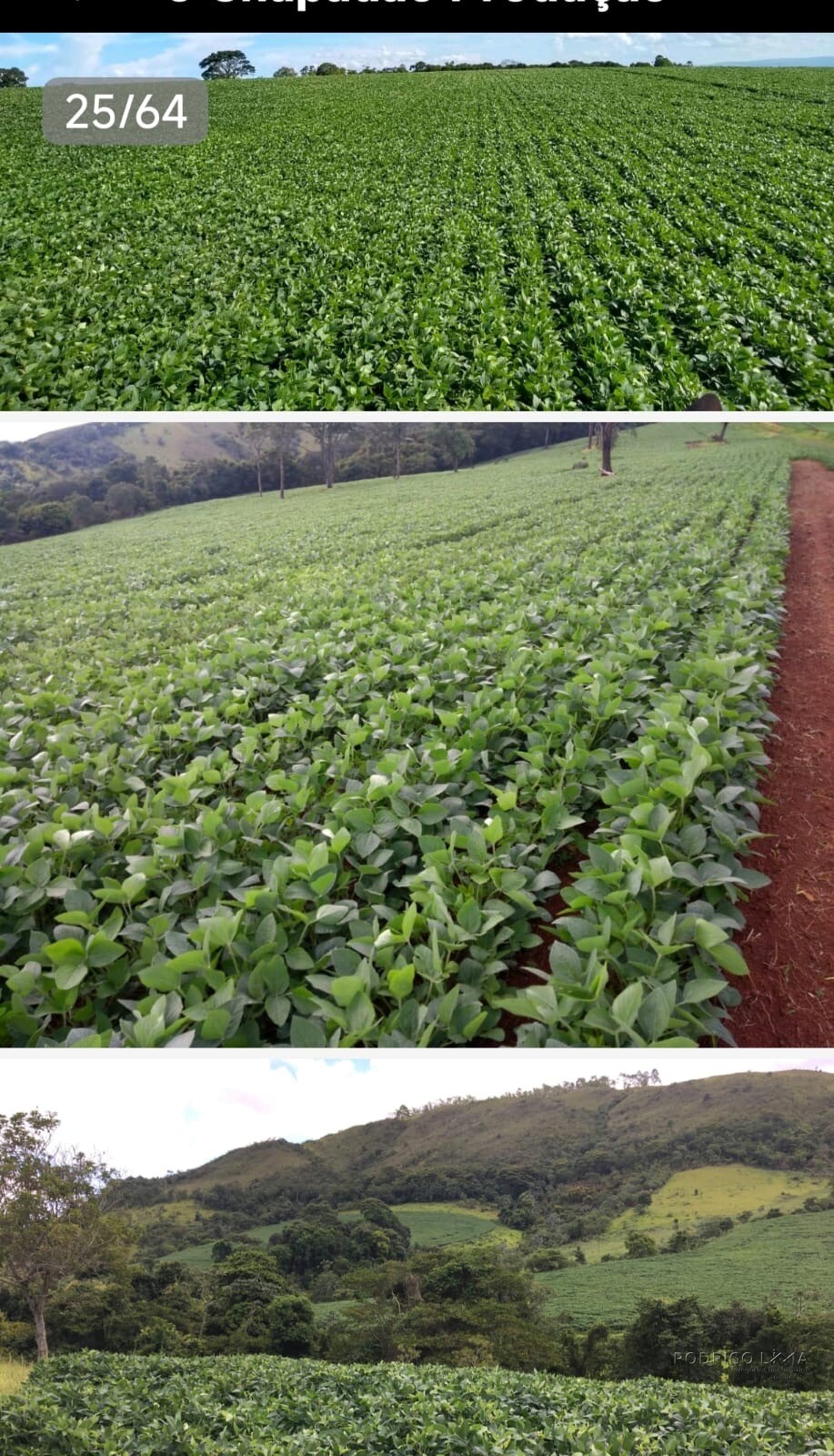 Linda fazenda para venda em Guapé - MG.