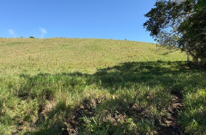 Terreno rural para venda em Dom Viçoso MG
