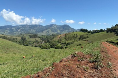 Terreno Rural para venda em Dom Viçoso MG