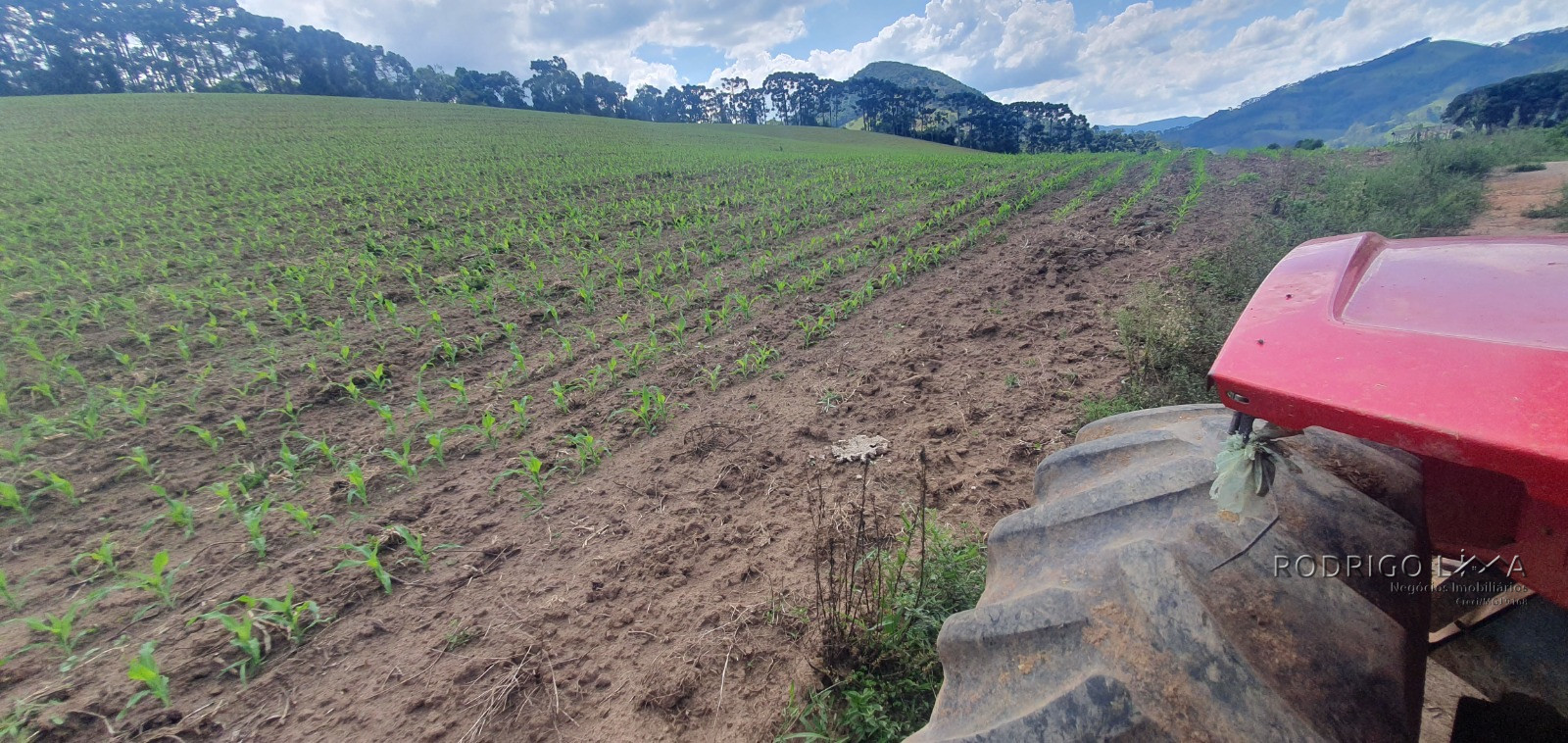 Fazenda para venda próximo a São Lourenço - mg