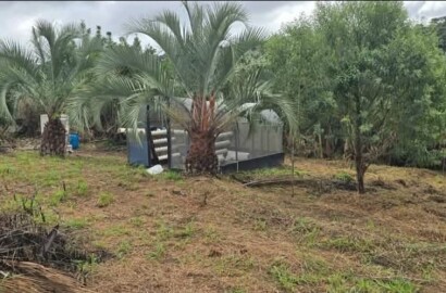 Linda Propriedade Para Venda Em São Tomé Das Letras - Mg.