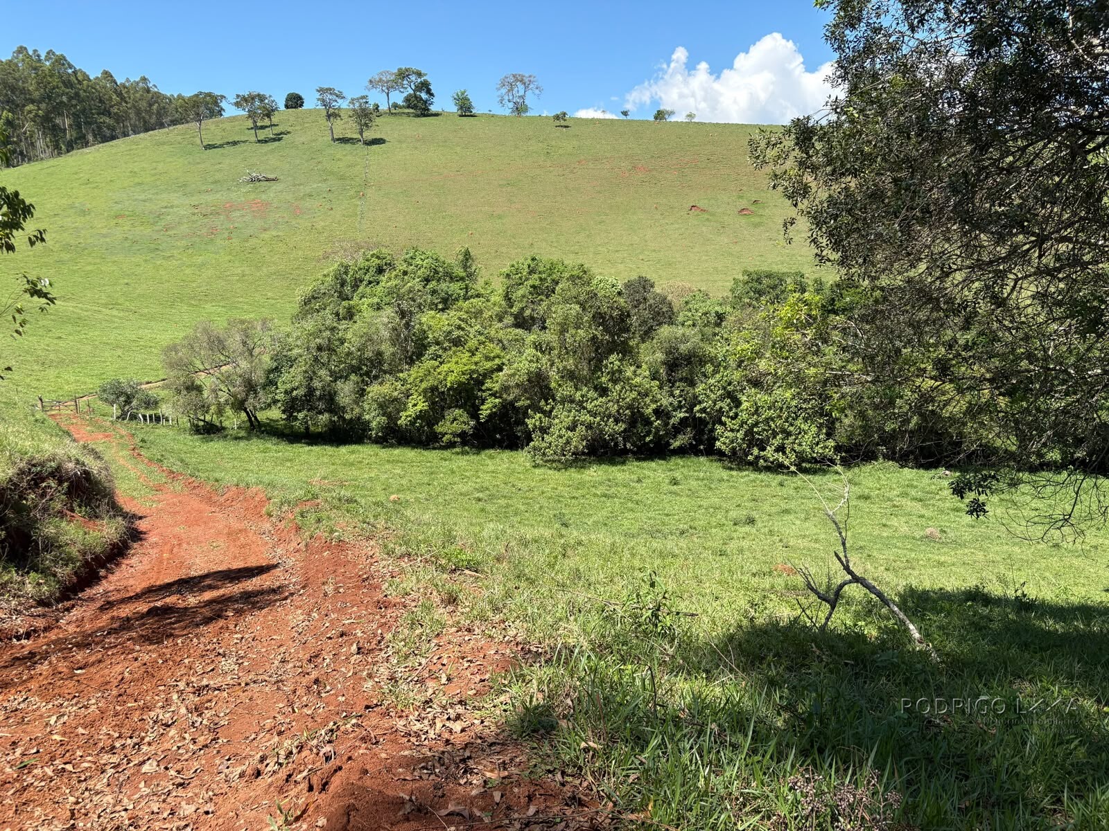 Terreno Rural para venda em Dom Viçoso MG