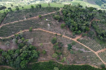 Fazenda para venda em Jesuânia/MG