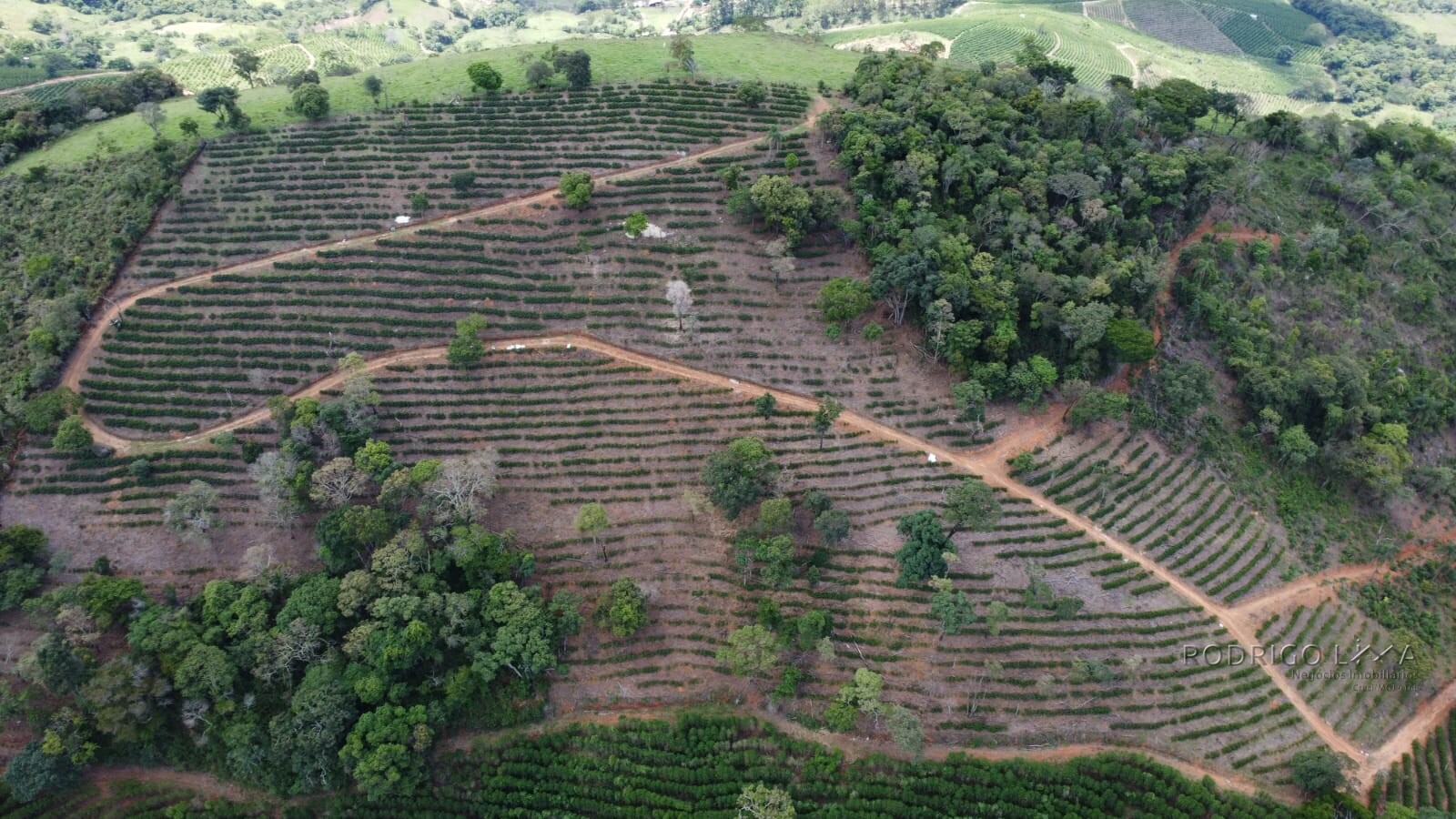 Fazenda para venda em Jesuânia/MG