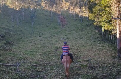 Propriedade rural para venda em Virgínia/MG