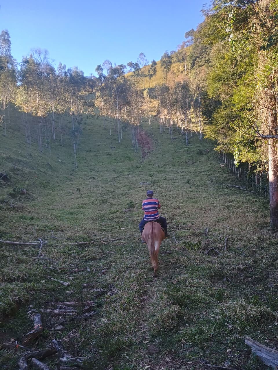 Propriedade rural para venda em Virgínia/MG