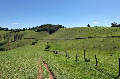 Terreno Rural para venda em Dom Viçoso MG
