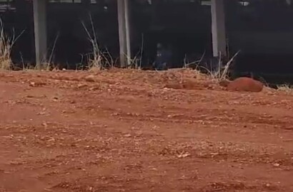 Fazenda para venda em Curvelo Mg