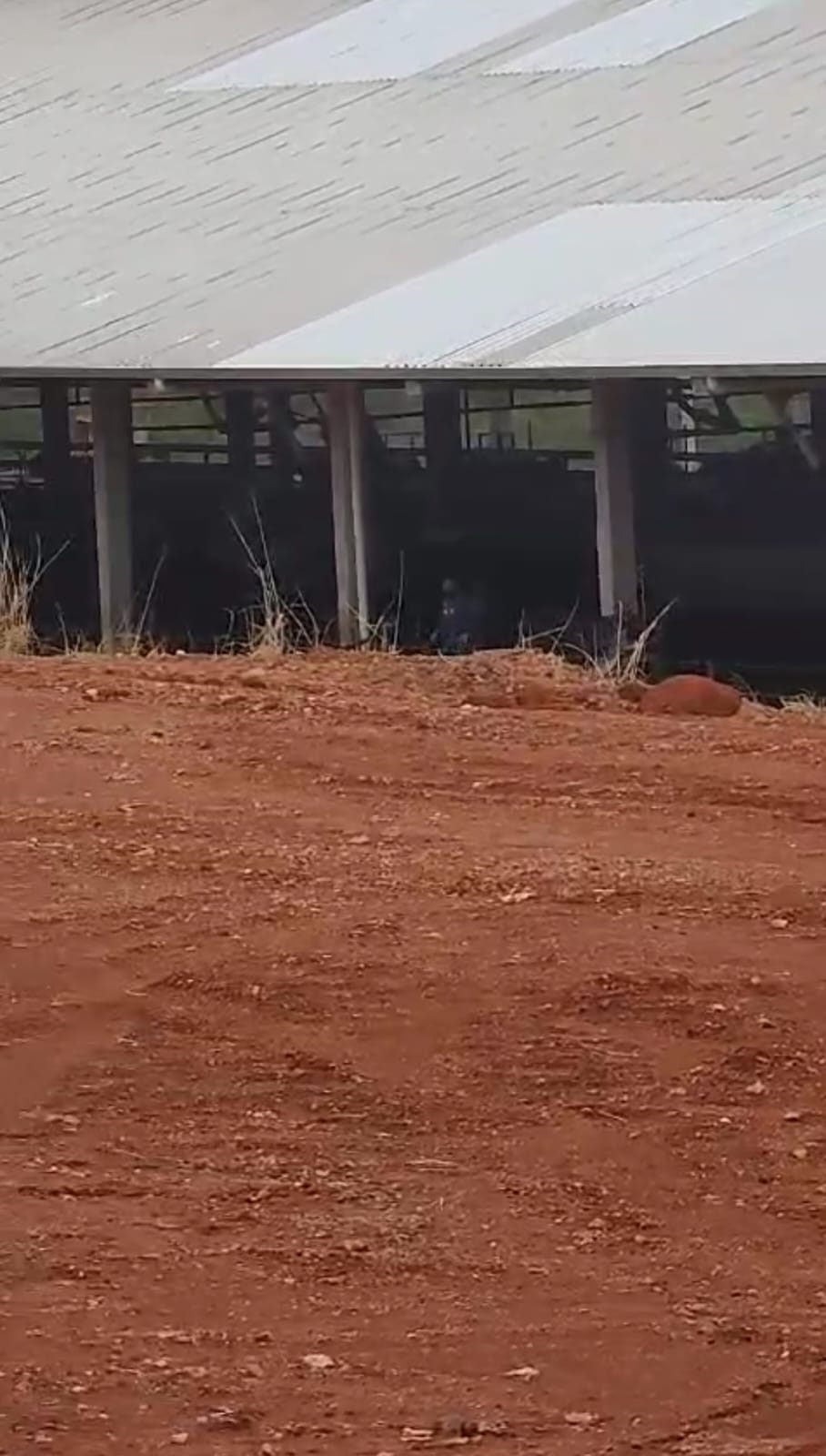 Fazenda para venda em Curvelo Mg
