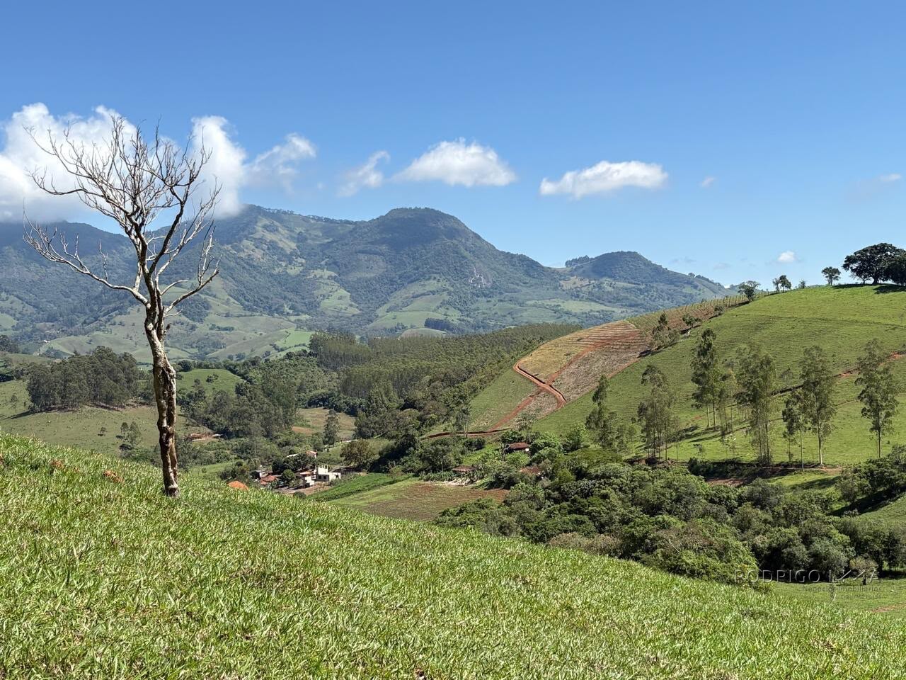 Terreno Rural para venda em Dom Viçoso MG