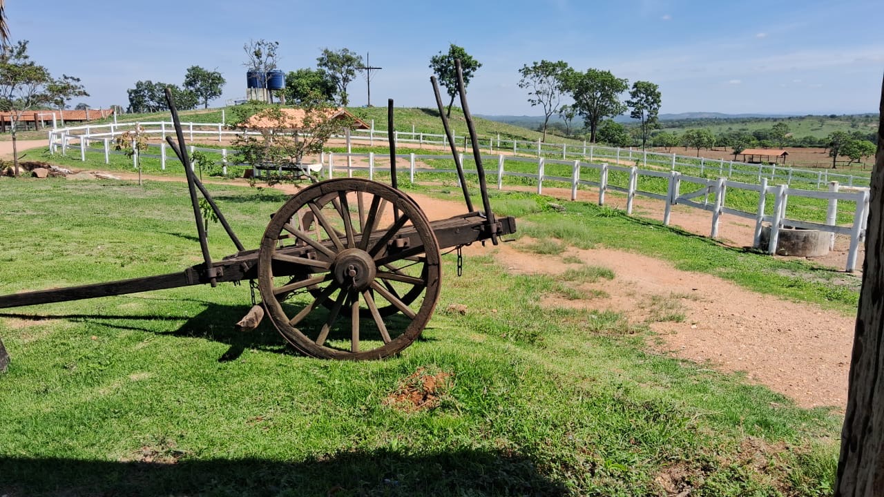 Fazenda para venda em Curvelo Mg