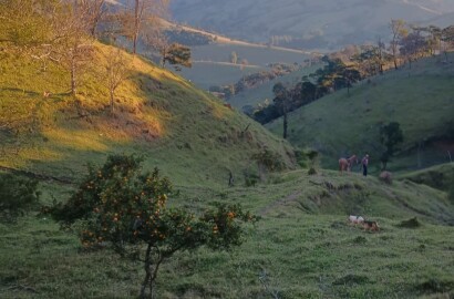 Propriedade rural para venda em Virgínia/MG