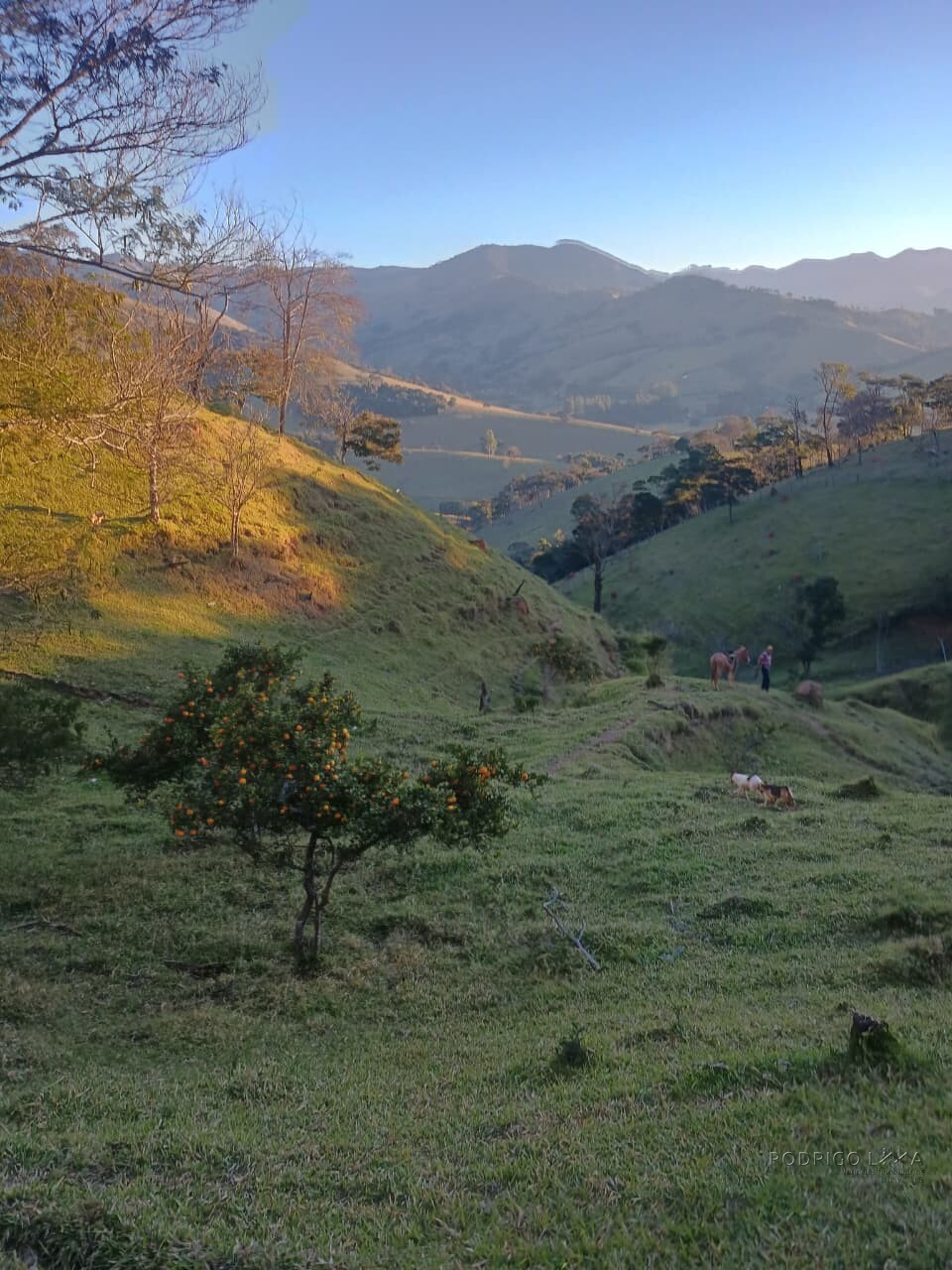Propriedade rural para venda em Virgínia/MG