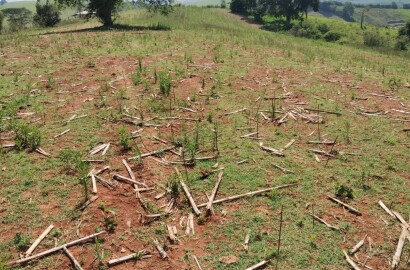 Propriedade para venda entre Carmo de Minas/ Olímpio Noronha Mg