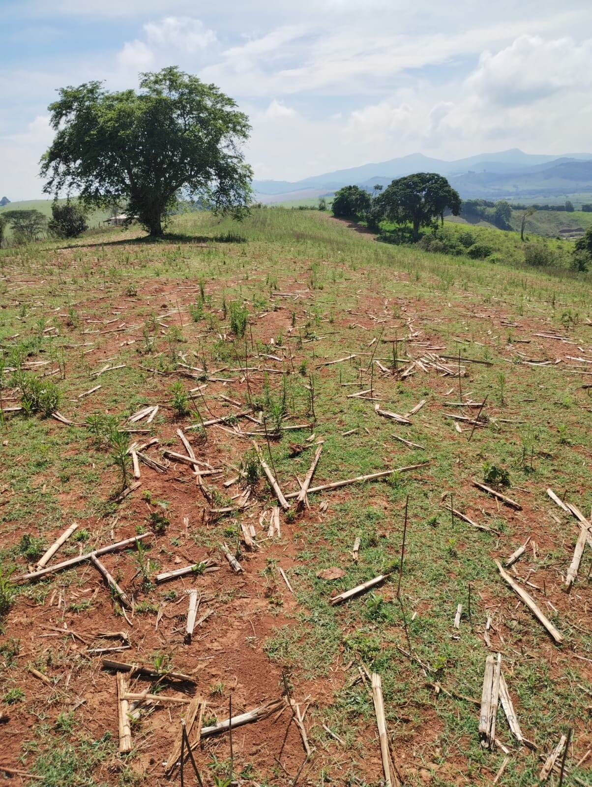 Propriedade para venda entre Carmo de Minas/ Olímpio Noronha Mg