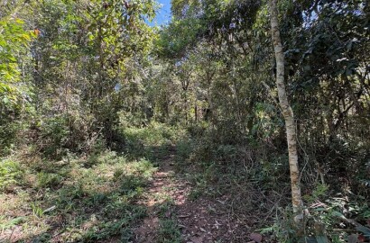 Terreno Rural para venda em Dom Viçoso MG