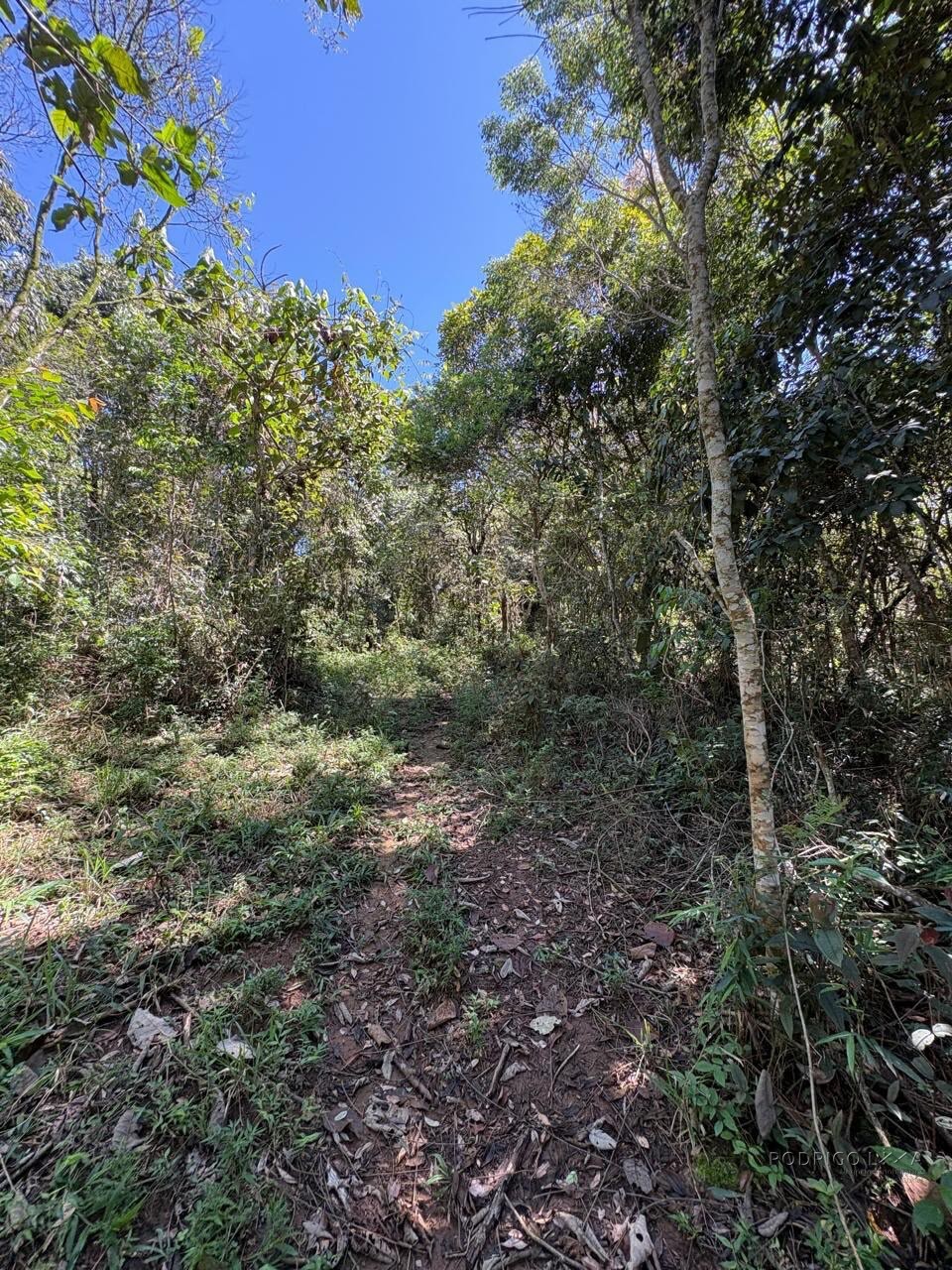 Terreno Rural para venda em Dom Viçoso MG