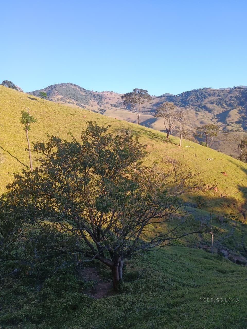 Propriedade rural para venda em Virgínia/MG