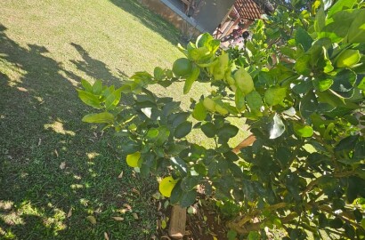 Chácara para venda em Caxambu MG.