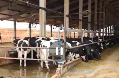 Fazenda para venda em Curvelo Mg