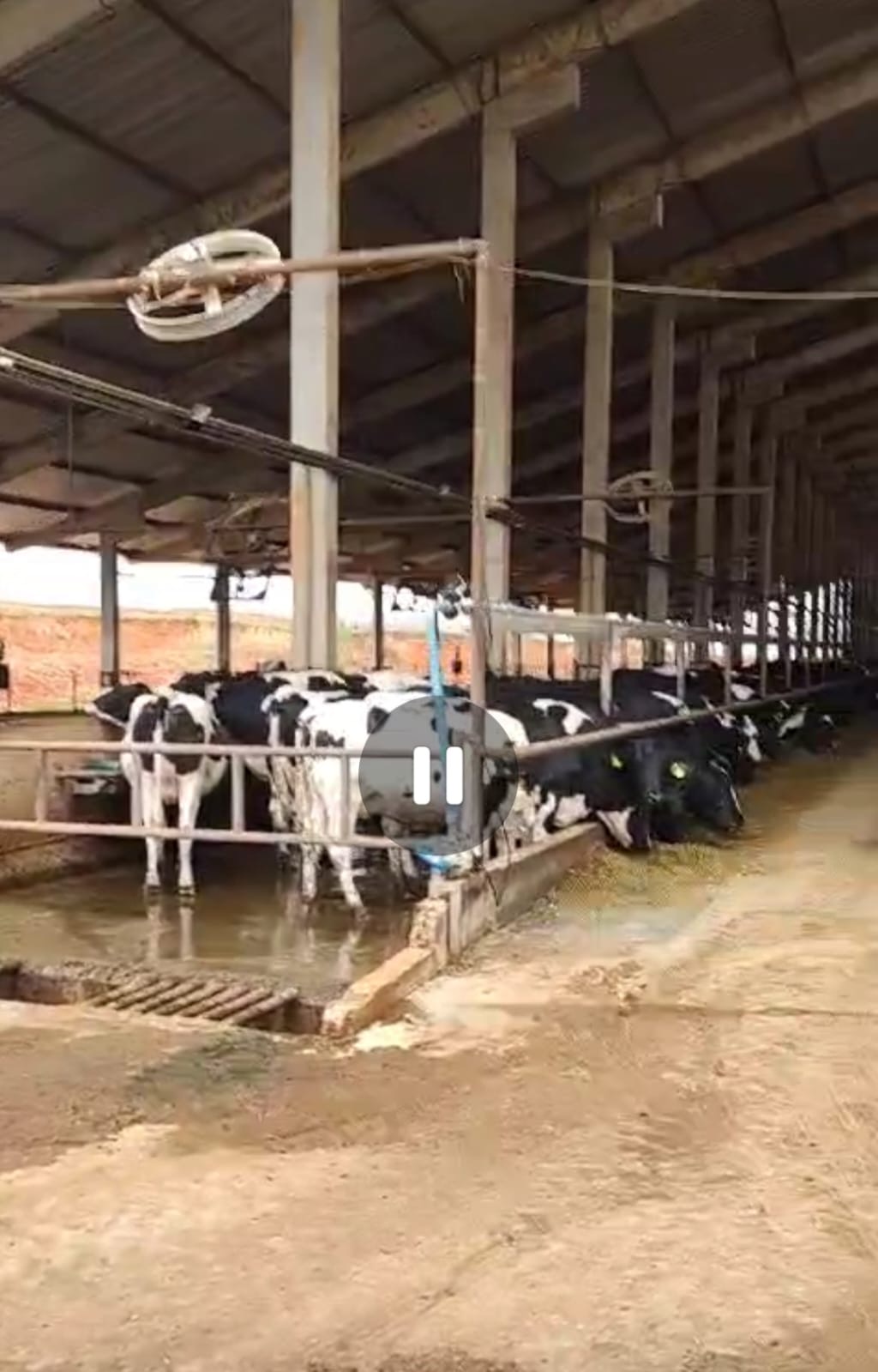 Fazenda para venda em Curvelo Mg