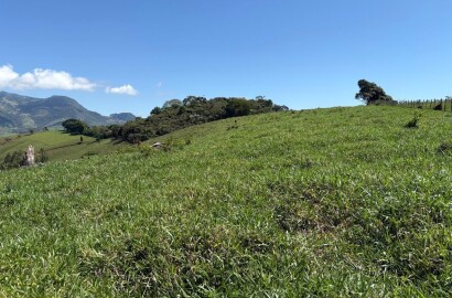 Terreno Rural para venda em Dom Viçoso MG