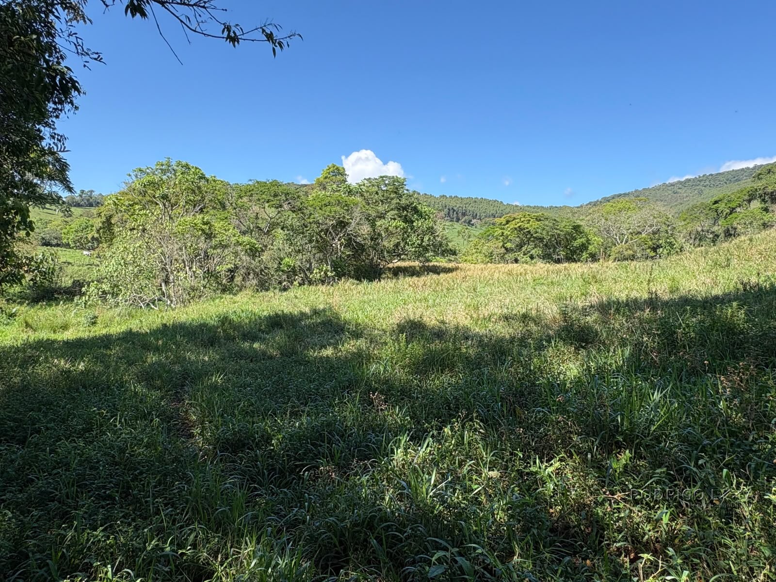 Terreno rural para venda em Dom Viçoso MG