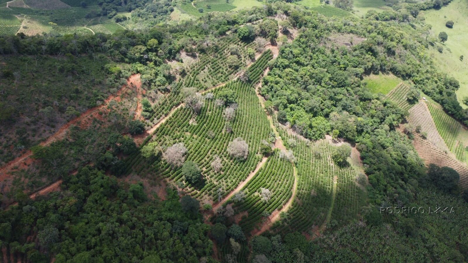 Fazenda para venda em Jesuânia/MG