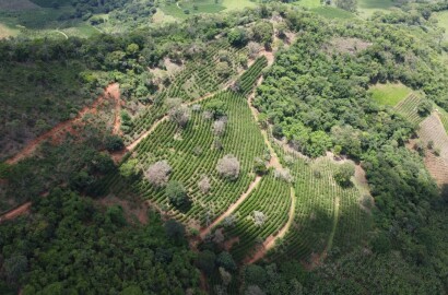 Fazenda para venda em Jesuânia/MG