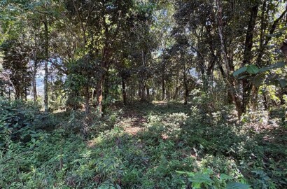 Terreno Rural para venda em Dom Viçoso MG