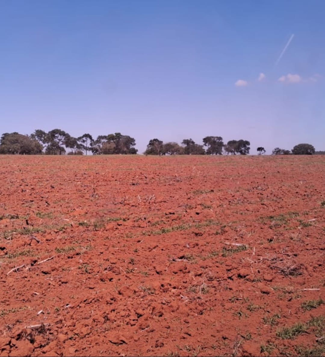 Fazenda para venda em Curvelo Mg