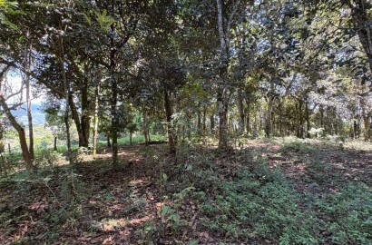 Terreno Rural para venda em Dom Viçoso MG