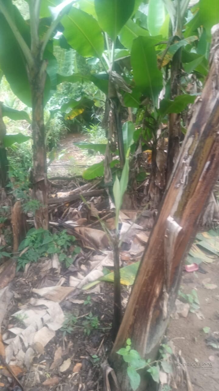 Chácara para venda em Dom Viçoso MG