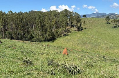 Terreno Rural para venda em Dom Viçoso MG