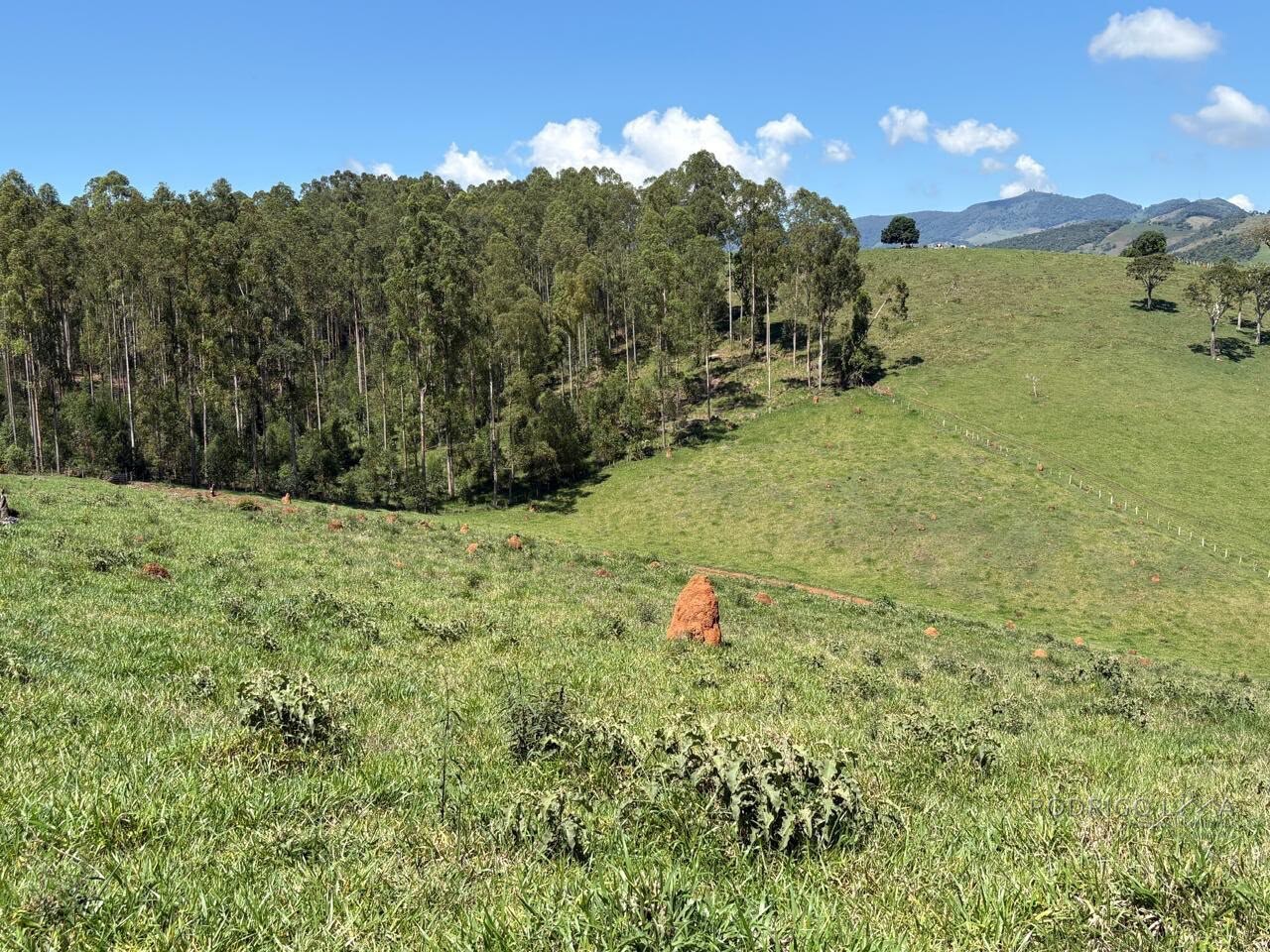 Terreno Rural para venda em Dom Viçoso MG