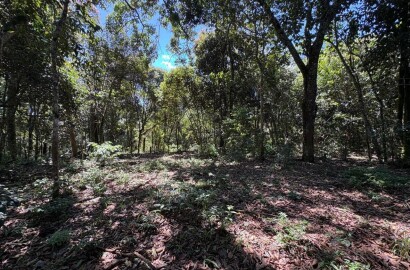 Terreno Rural para venda em Dom Viçoso MG