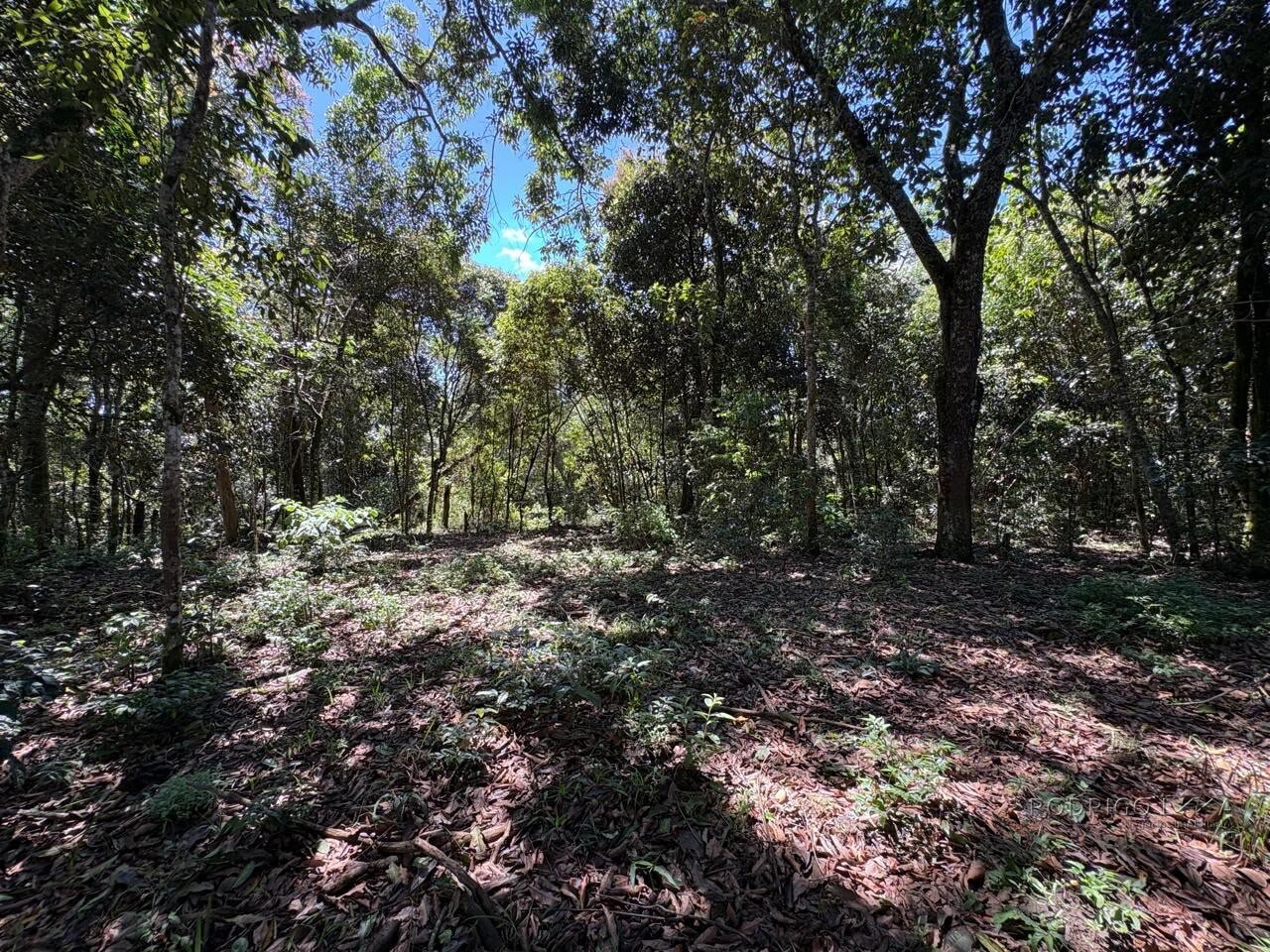 Terreno Rural para venda em Dom Viçoso MG